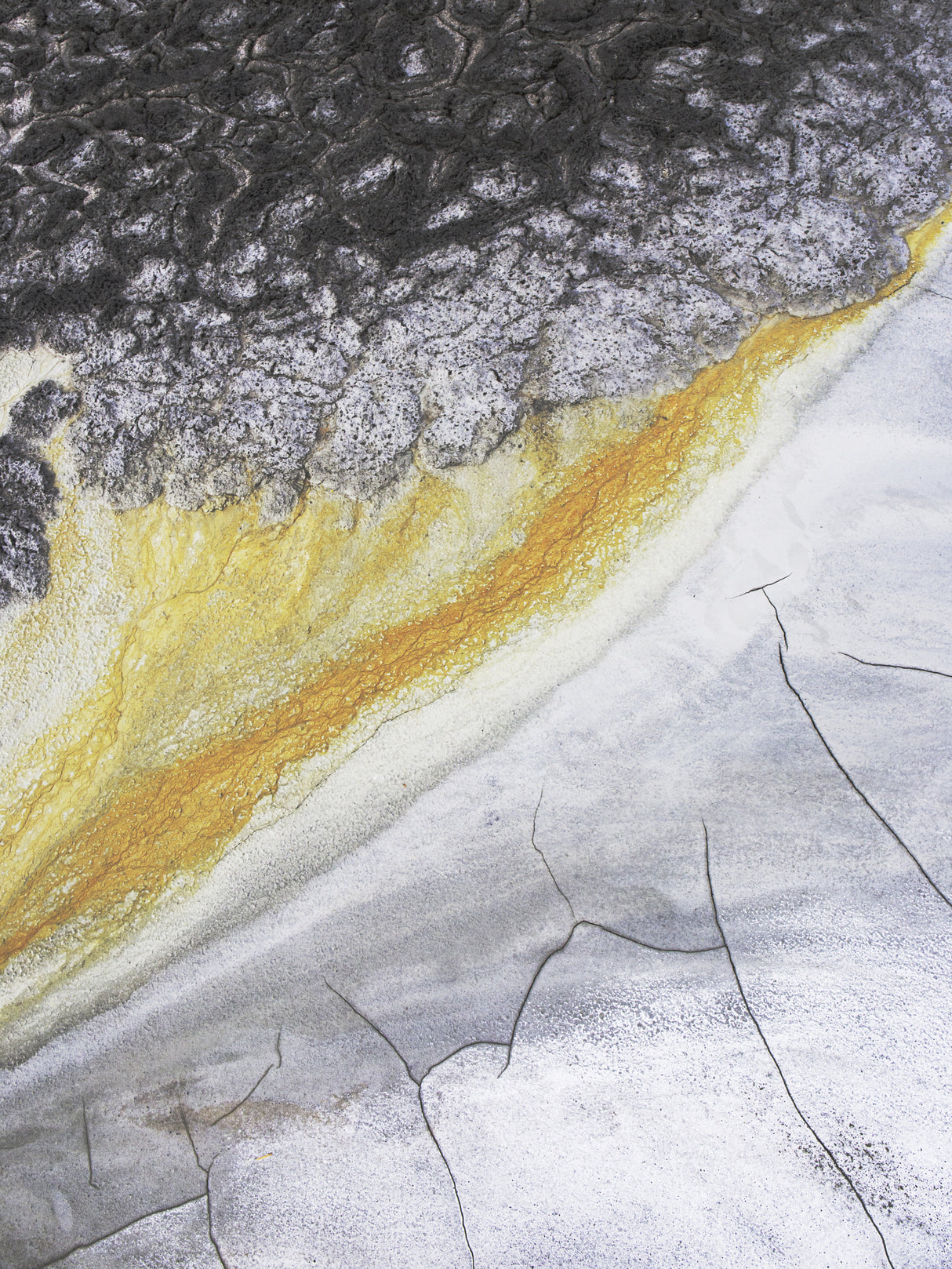 Bloody earth Poster och Canvastavla