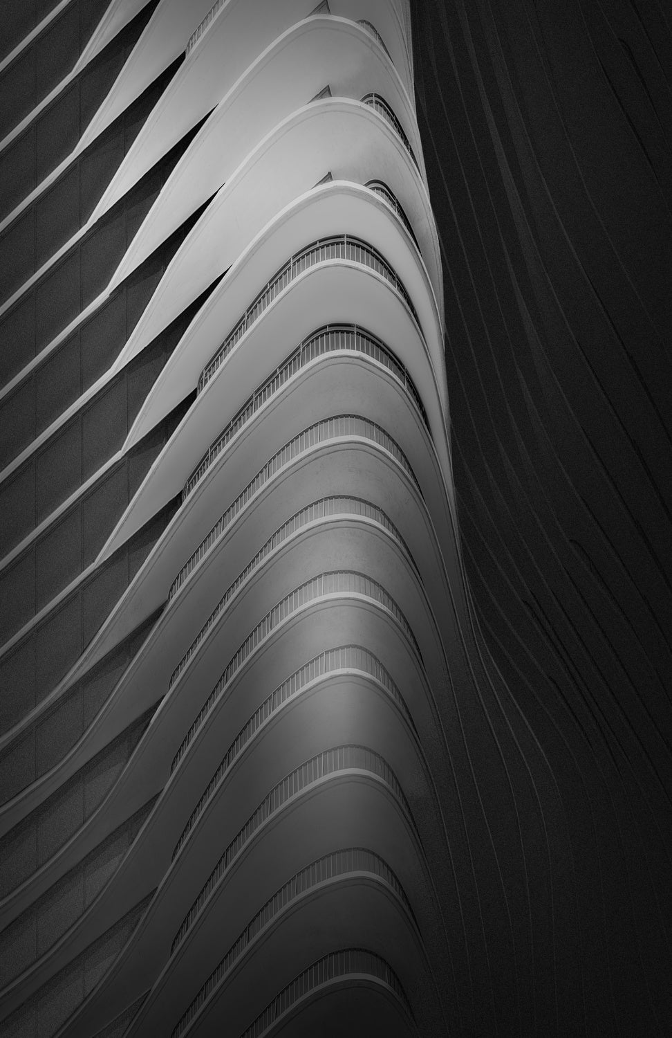 Curves Poster och Canvastavla