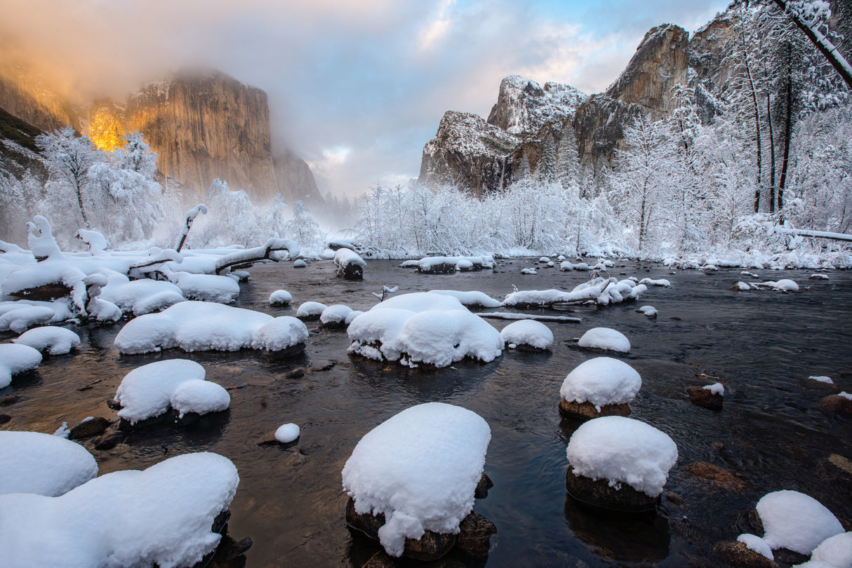 Fresh Snow at Yosemite Poster och Canvastavla