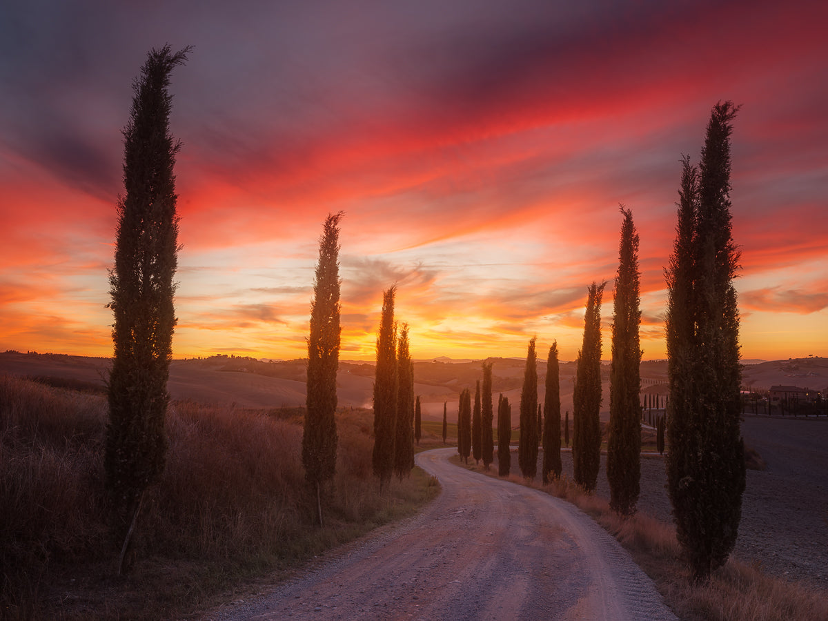 Tuscany sunset Poster och Canvastavla