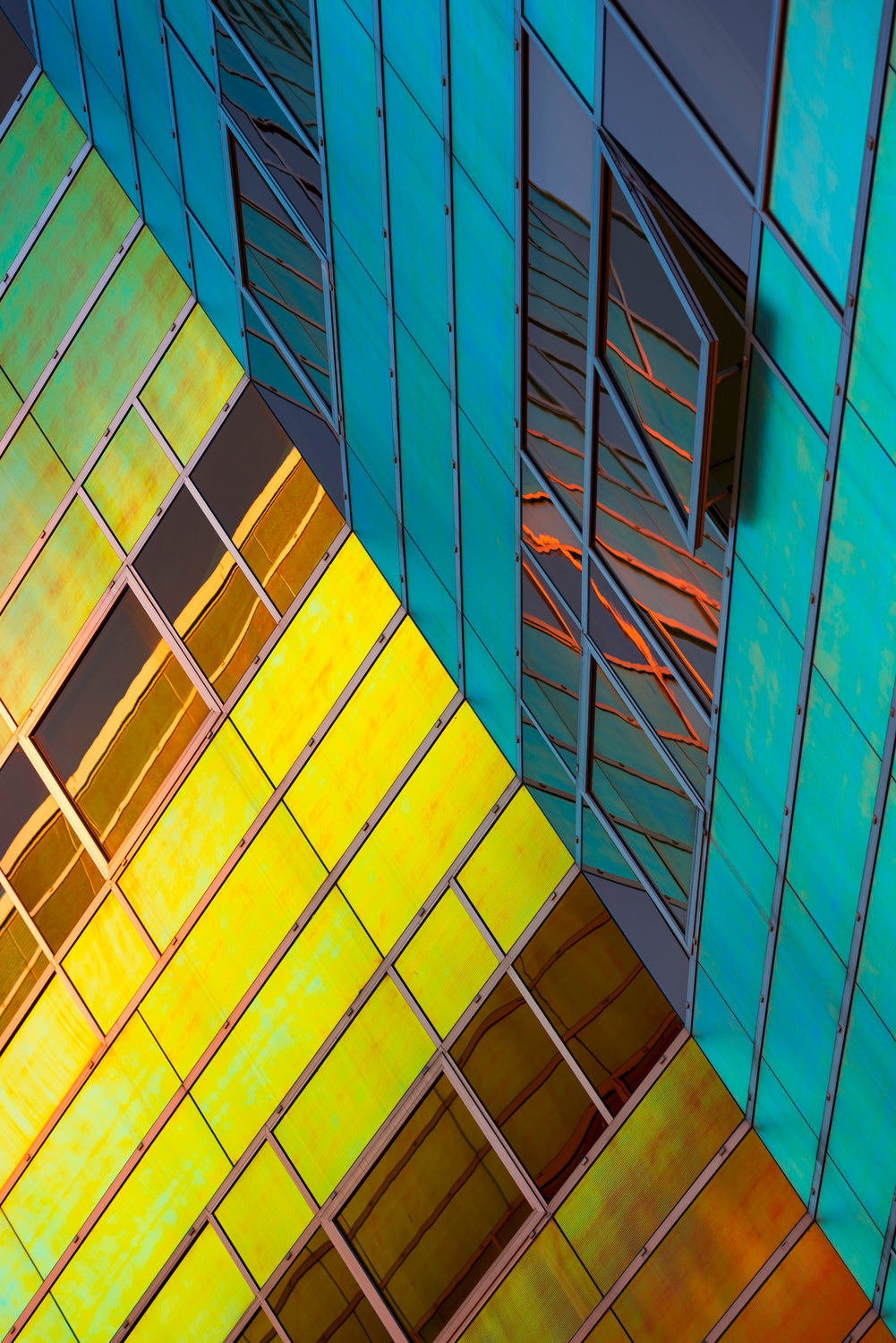 Colorful separation Poster och Canvastavla