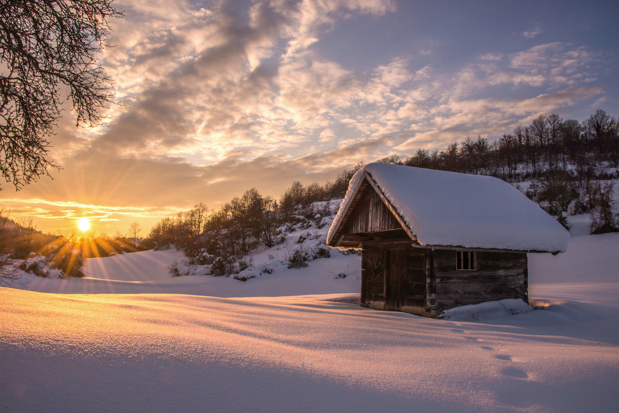 Winter fairytale Poster och Canvastavla