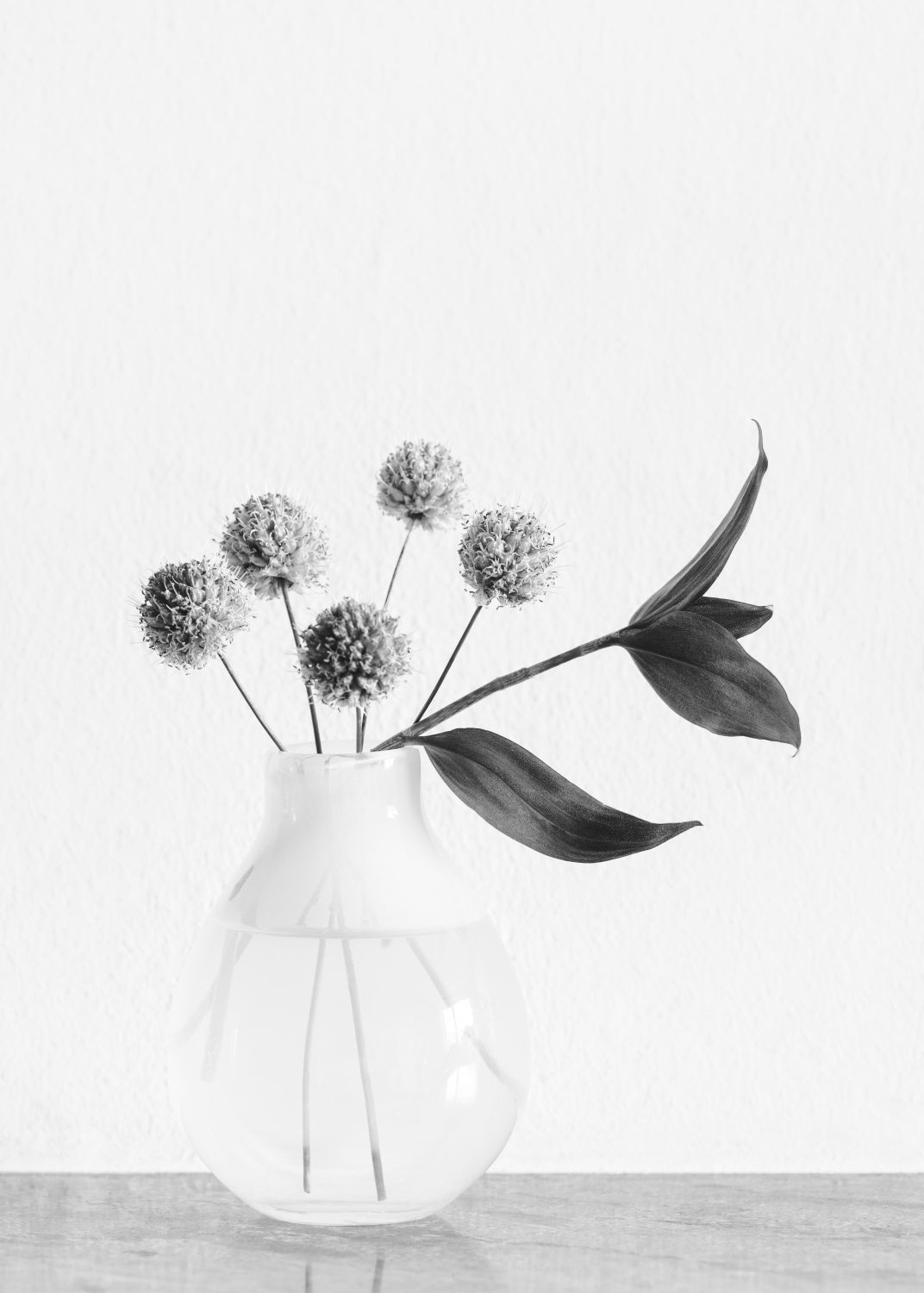 Vase_ chives flower Poster och Canvastavla