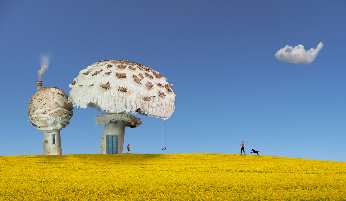 Fungi Houses Poster och Canvastavla