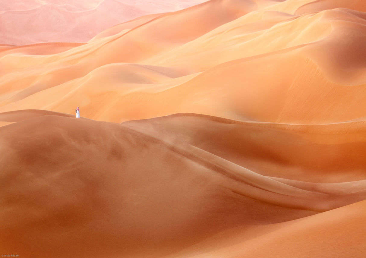 Desert Beauty Poster och Canvastavla