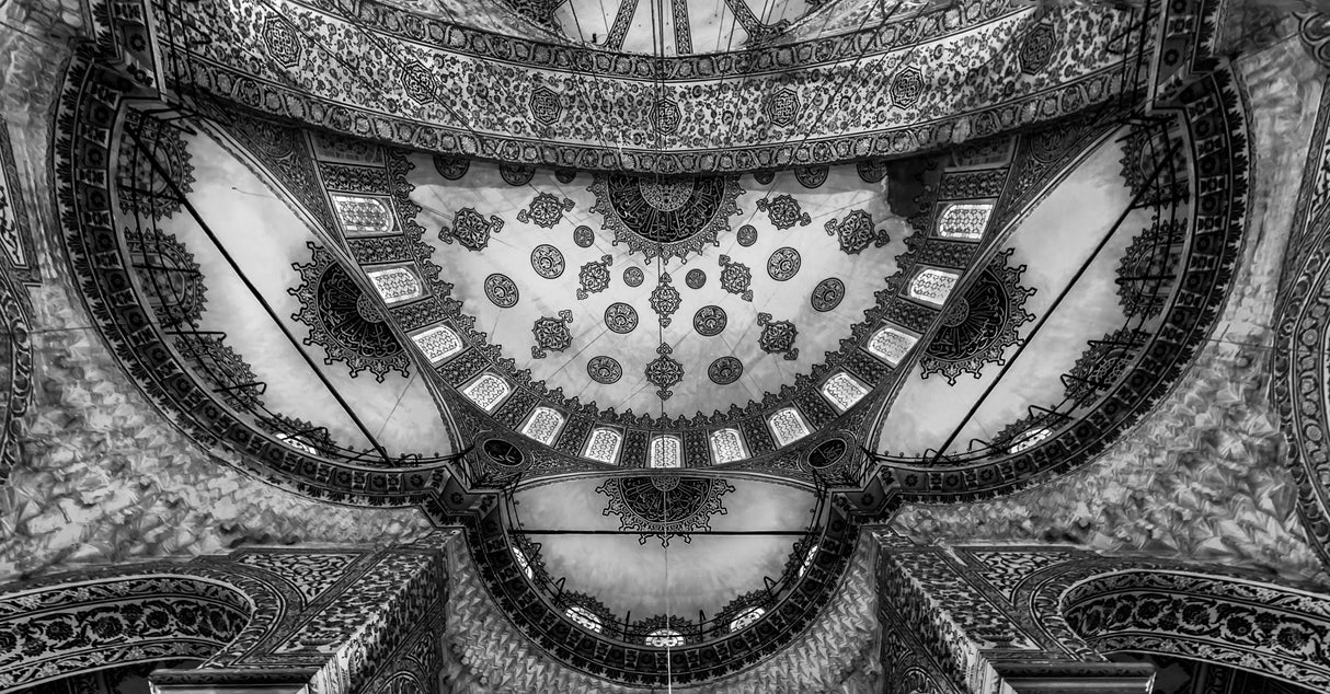 Istanbul - Roof art Poster och Canvastavla