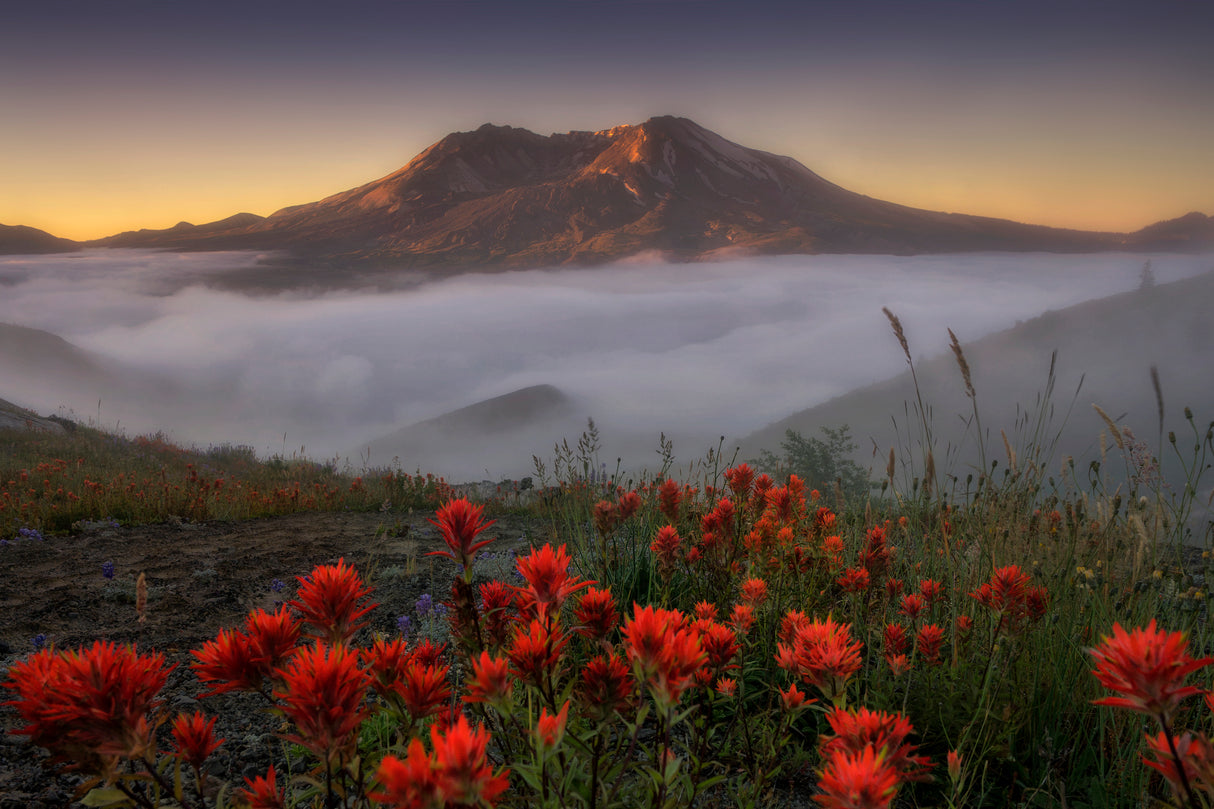 Foggy Sunrise Poster och Canvastavla