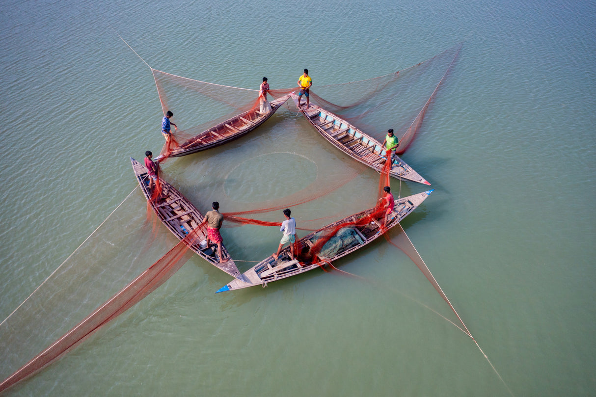 Fishing with four boats Poster och Canvastavla