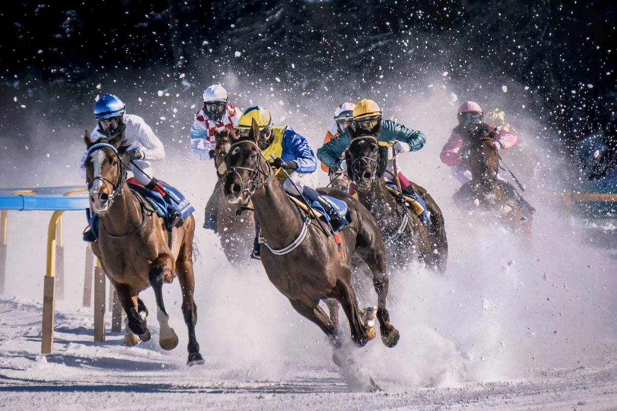 Flat race Poster och Canvastavla