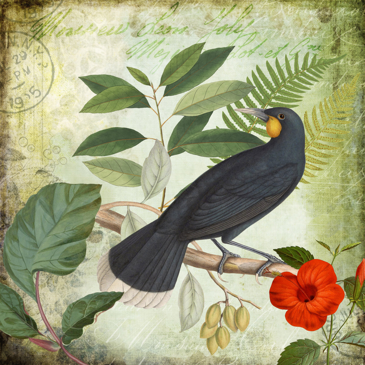 Birds Garden Poster och Canvastavla