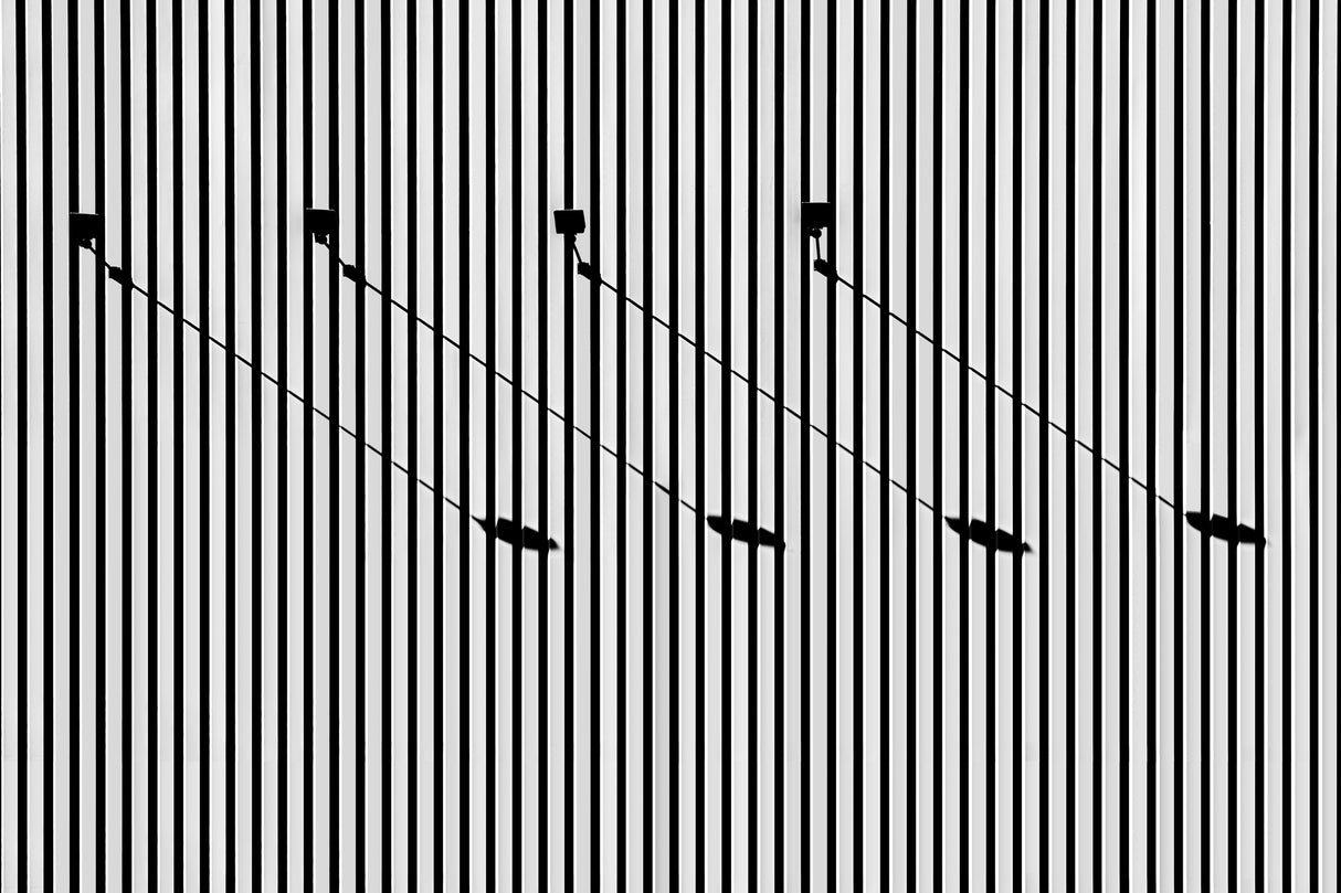Lines and Shadows Poster och Canvastavla