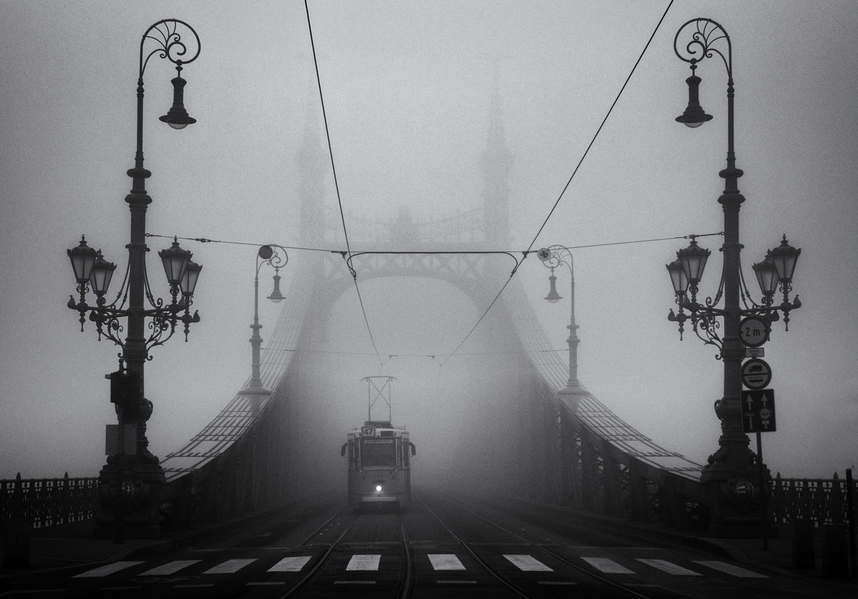 № 47 Poster och Canvastavla