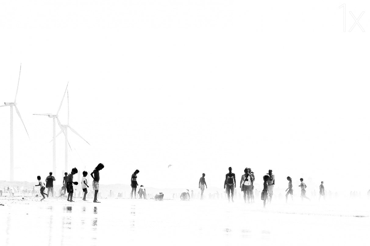 Beach silhouettes III Poster och Canvastavla