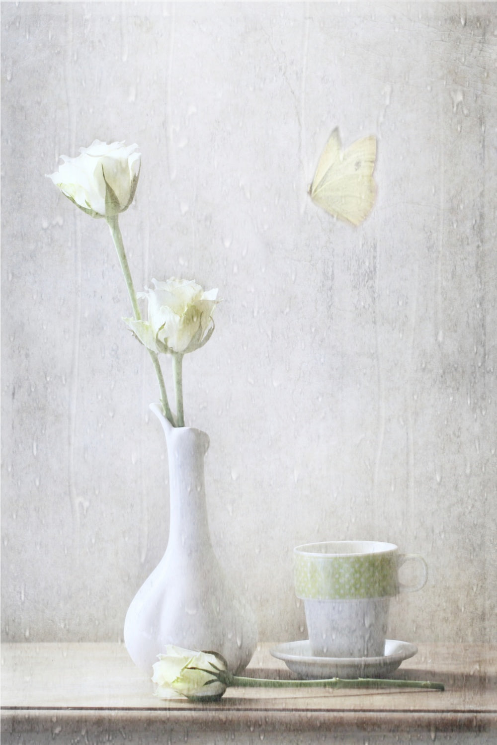 Soft White Petals Poster och Canvastavla