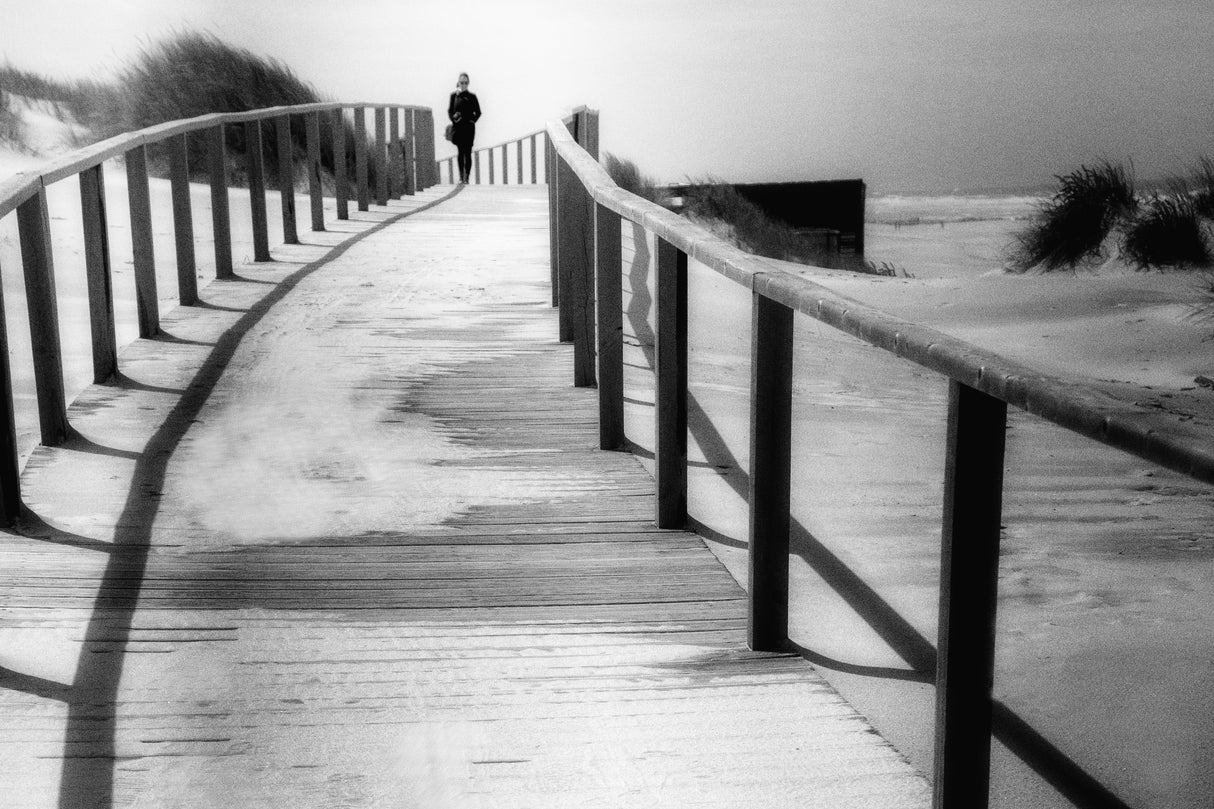 WALKING ALONE Poster och Canvastavla