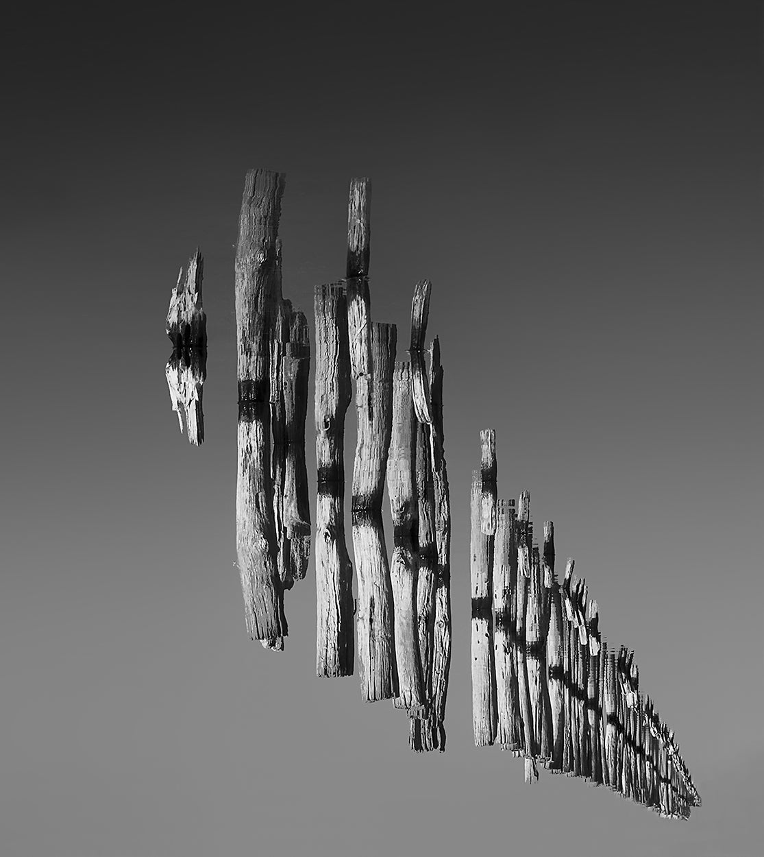 gravity perspective Poster och Canvastavla