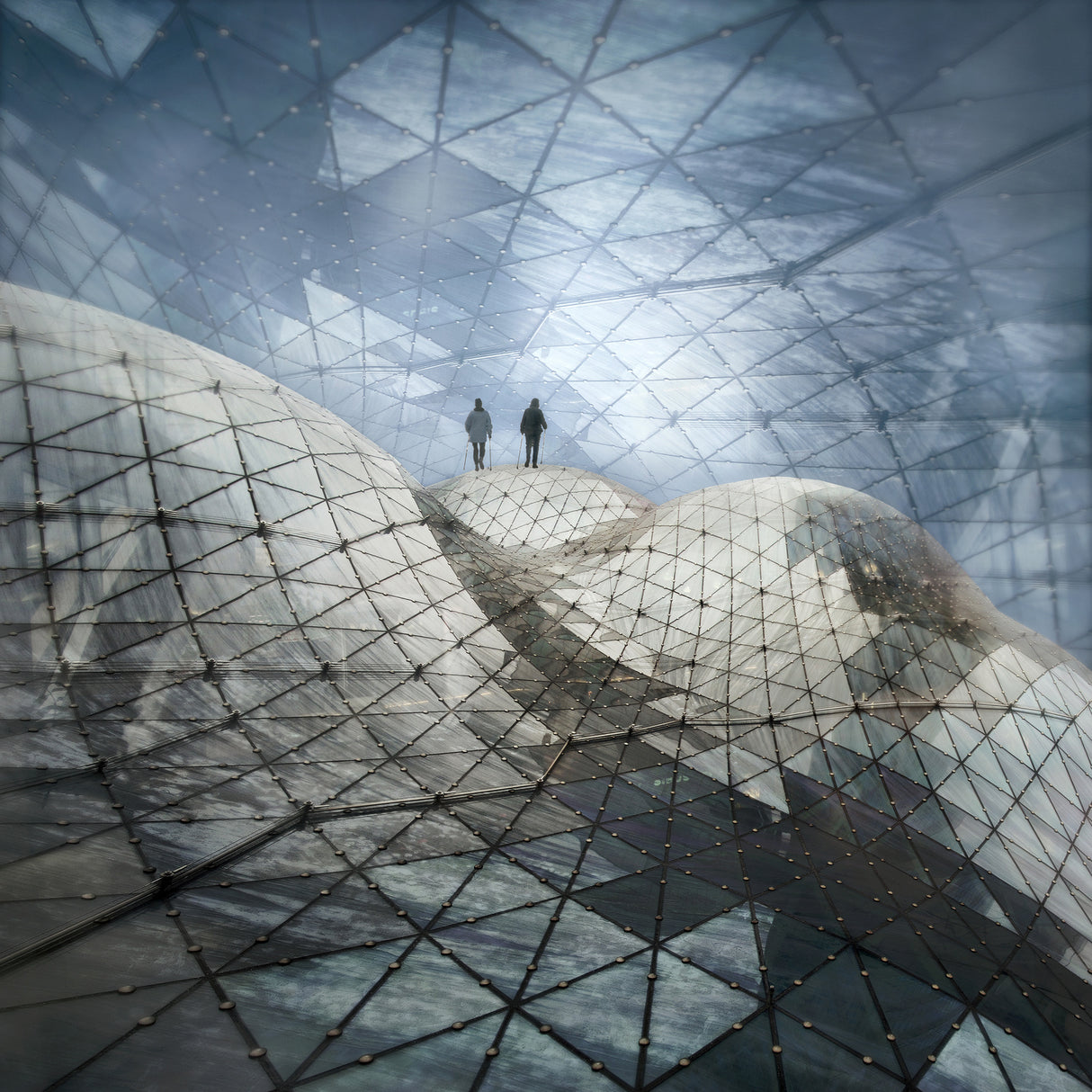 Glass houses Poster och Canvastavla