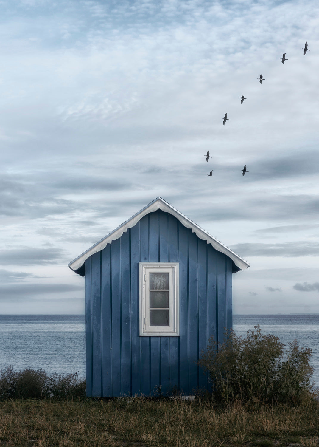 Beach hut Poster och Canvastavla