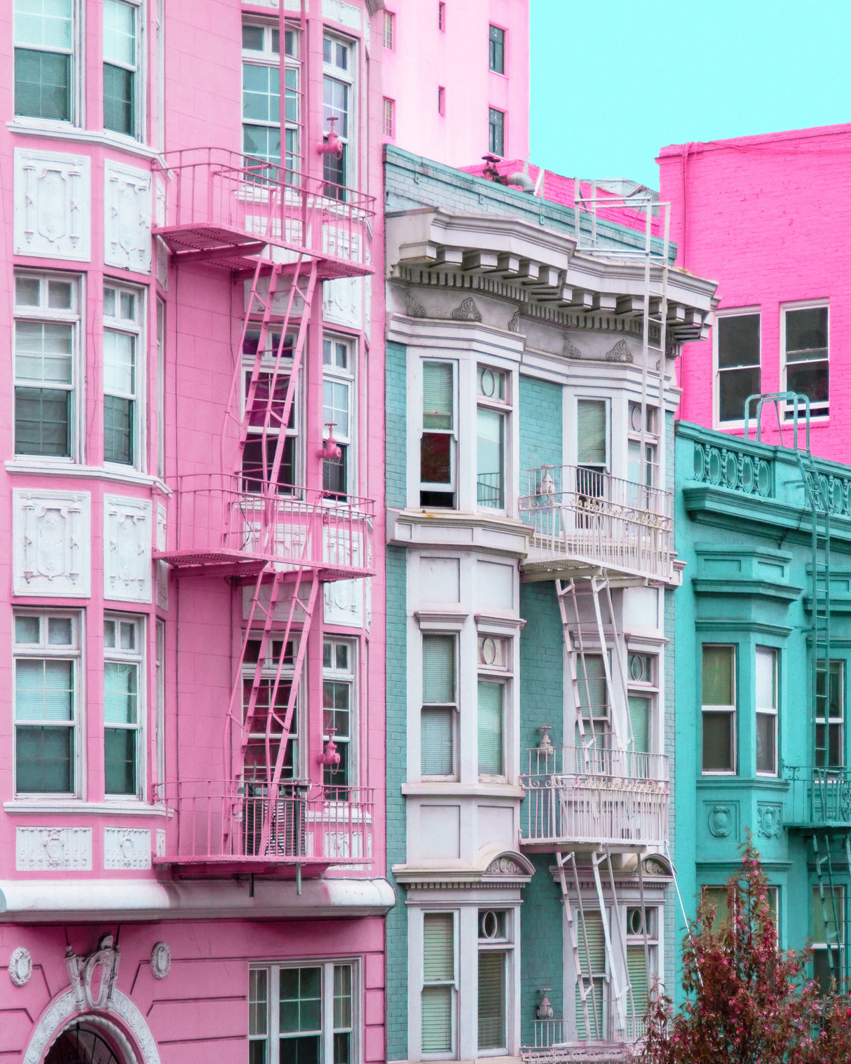 Pink and Blue Row Houses in San Francisco Poster och Canvastavla
