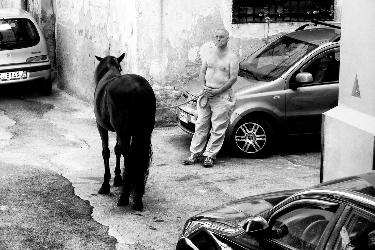 Man with Horse in Palermo Sicily Poster och Canvastavla