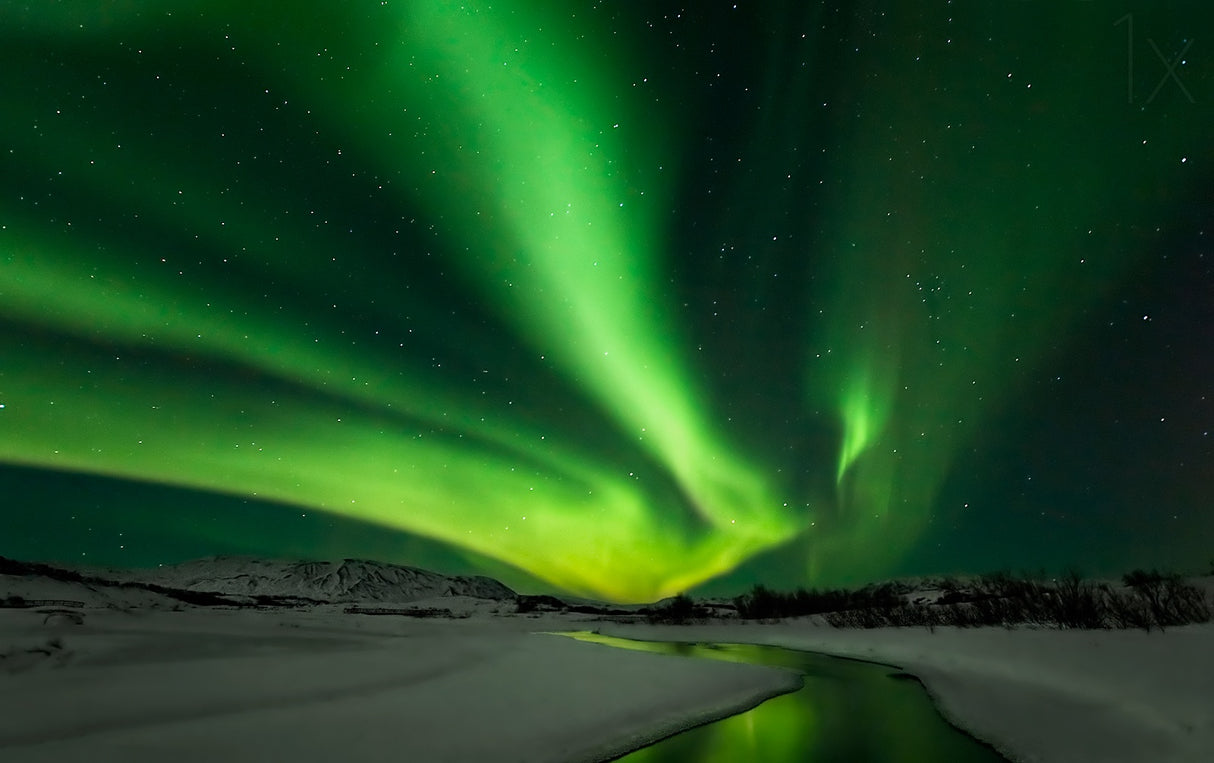Aurora Borealis Poster och Canvastavla