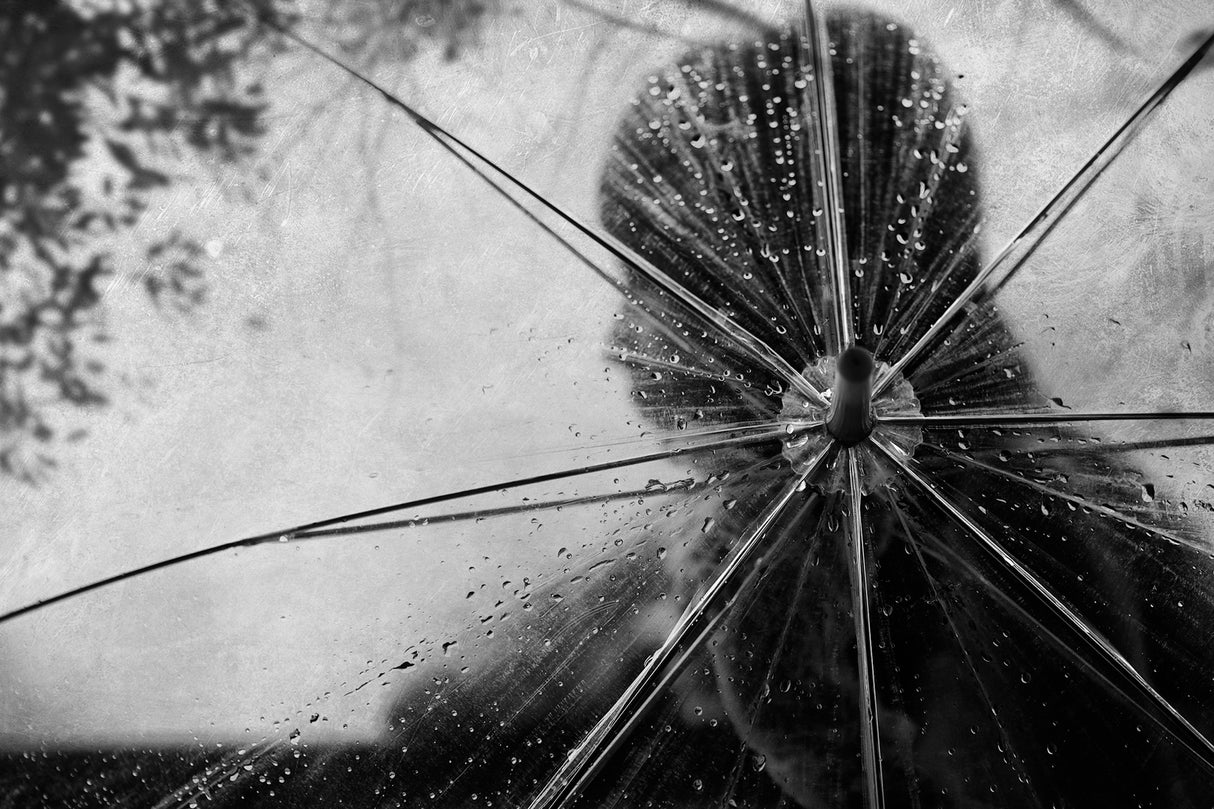 When the rain season is coming Poster och Canvastavla