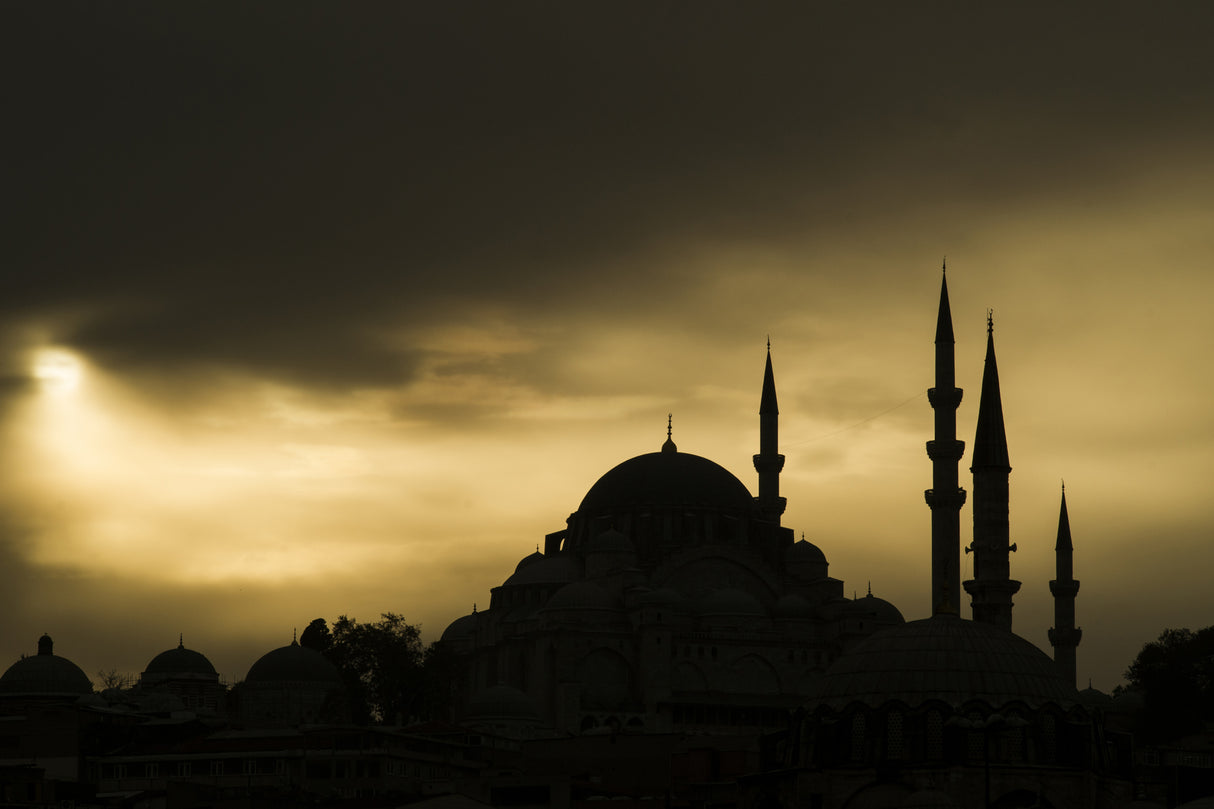 a historical mosque in Istanbul city Poster och Canvastavla