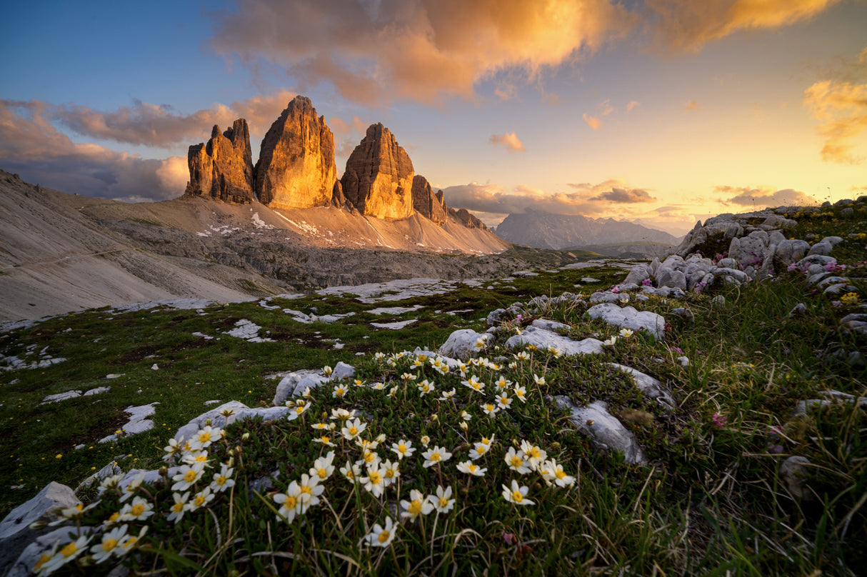 Bloomy Tre Cime Poster och Canvastavla
