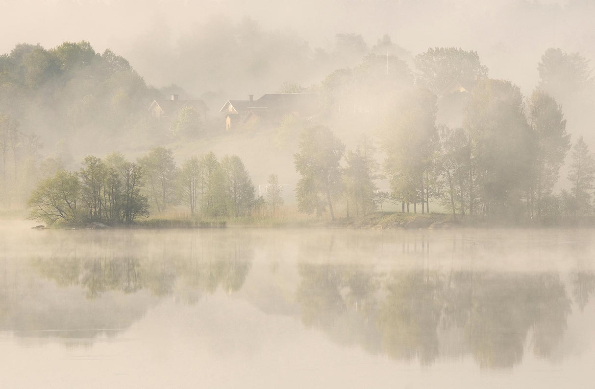 Early morning. Poster och Canvastavla