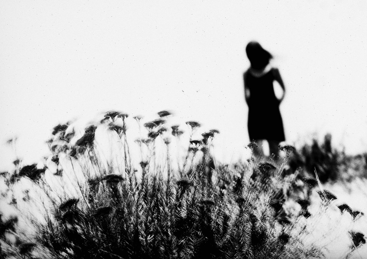 Poster och Canvastavla