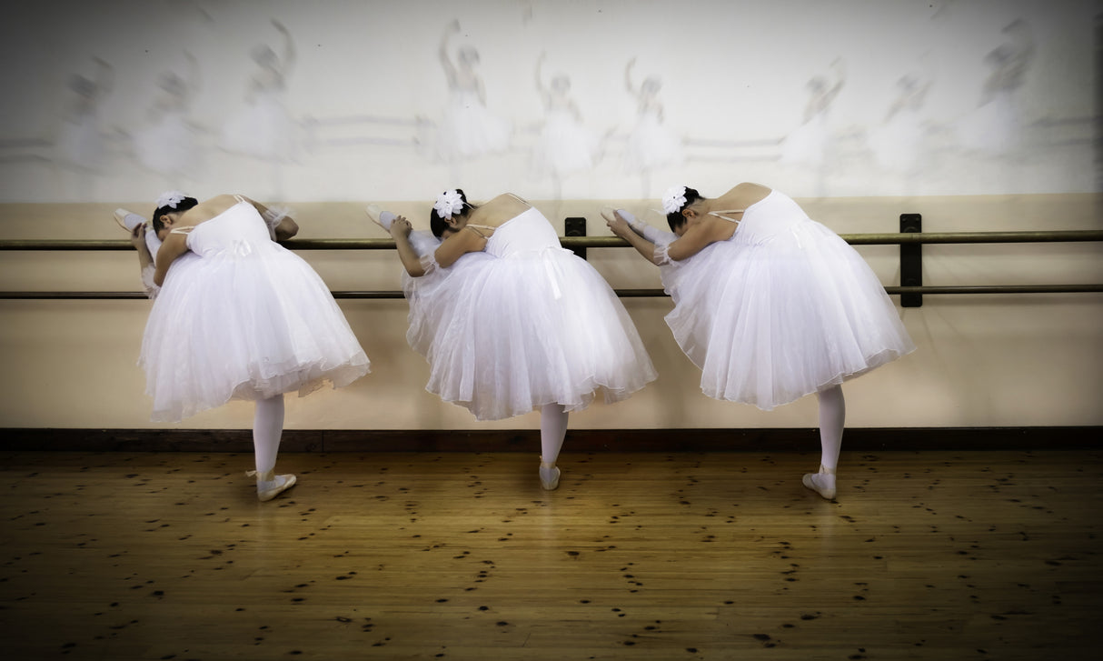 3 ballerinas -pay tribute to Dega Poster och Canvastavla