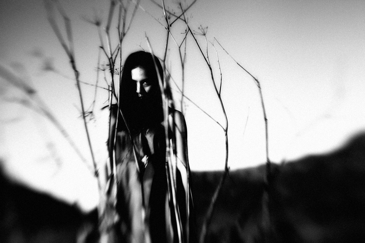 daydream branches barren Poster och Canvastavla