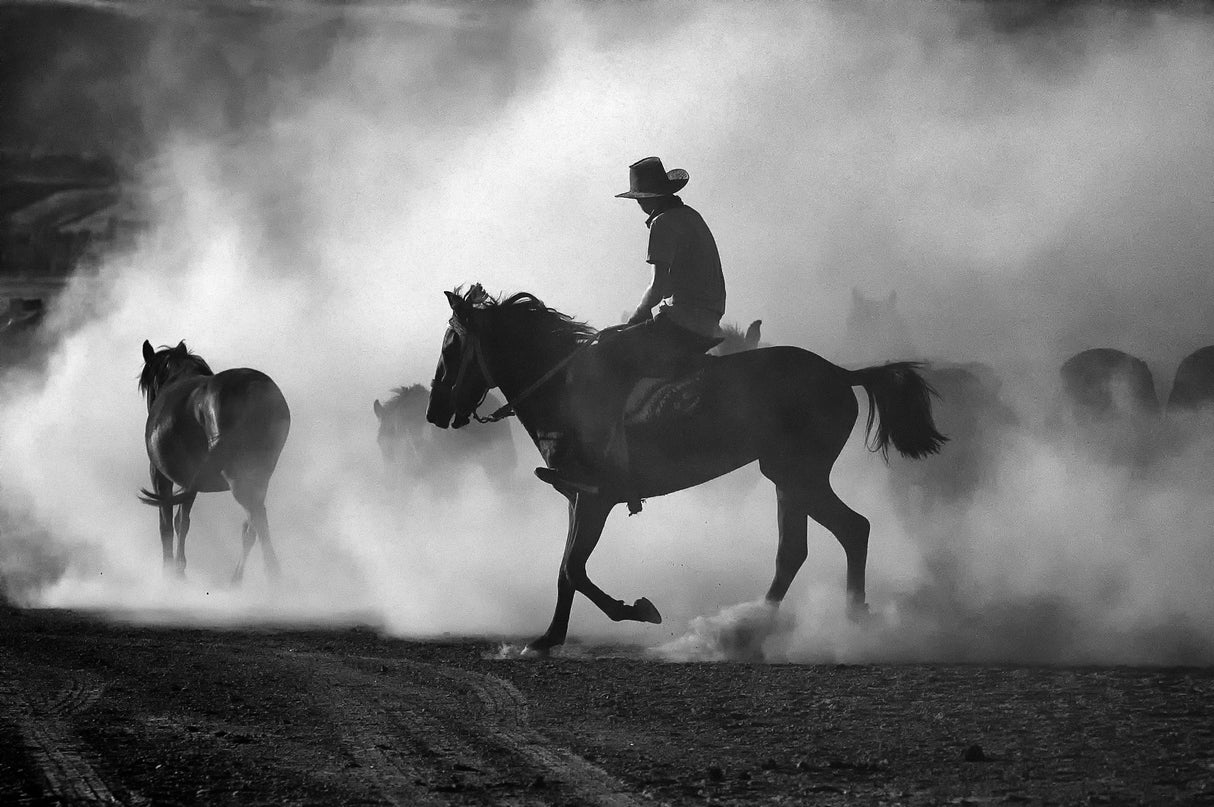 among the dust Poster och Canvastavla
