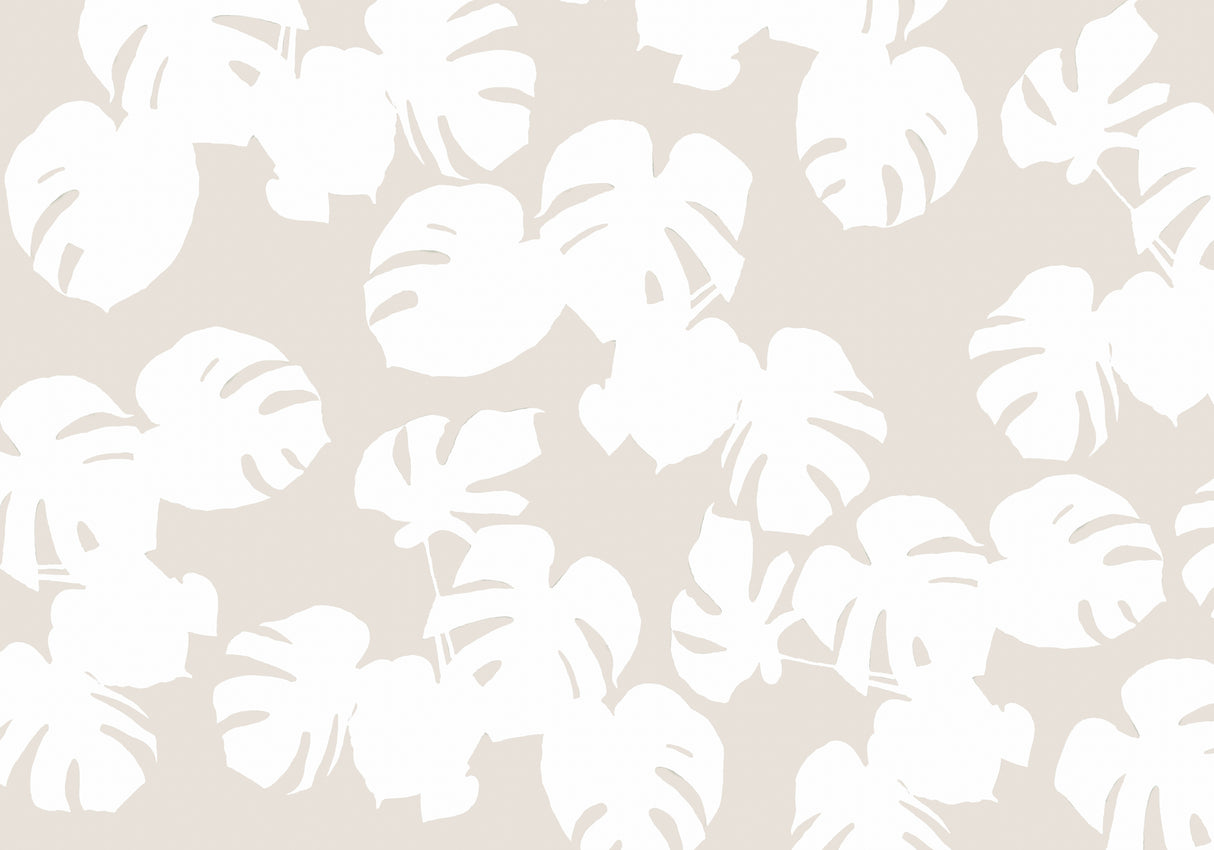 Monstera Leaves White Poster och Canvastavla