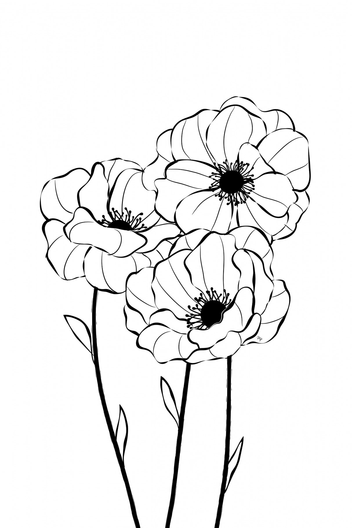 Poppies Poster och Canvastavla