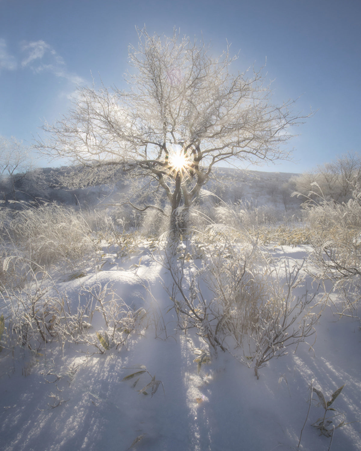 Winter morning in the mountain Poster och Canvastavla