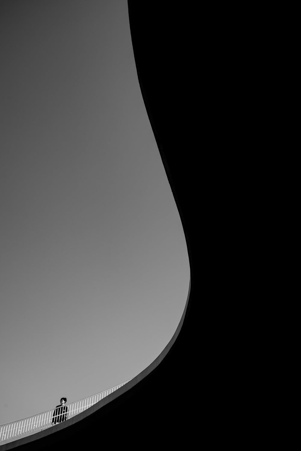 curve Poster och Canvastavla
