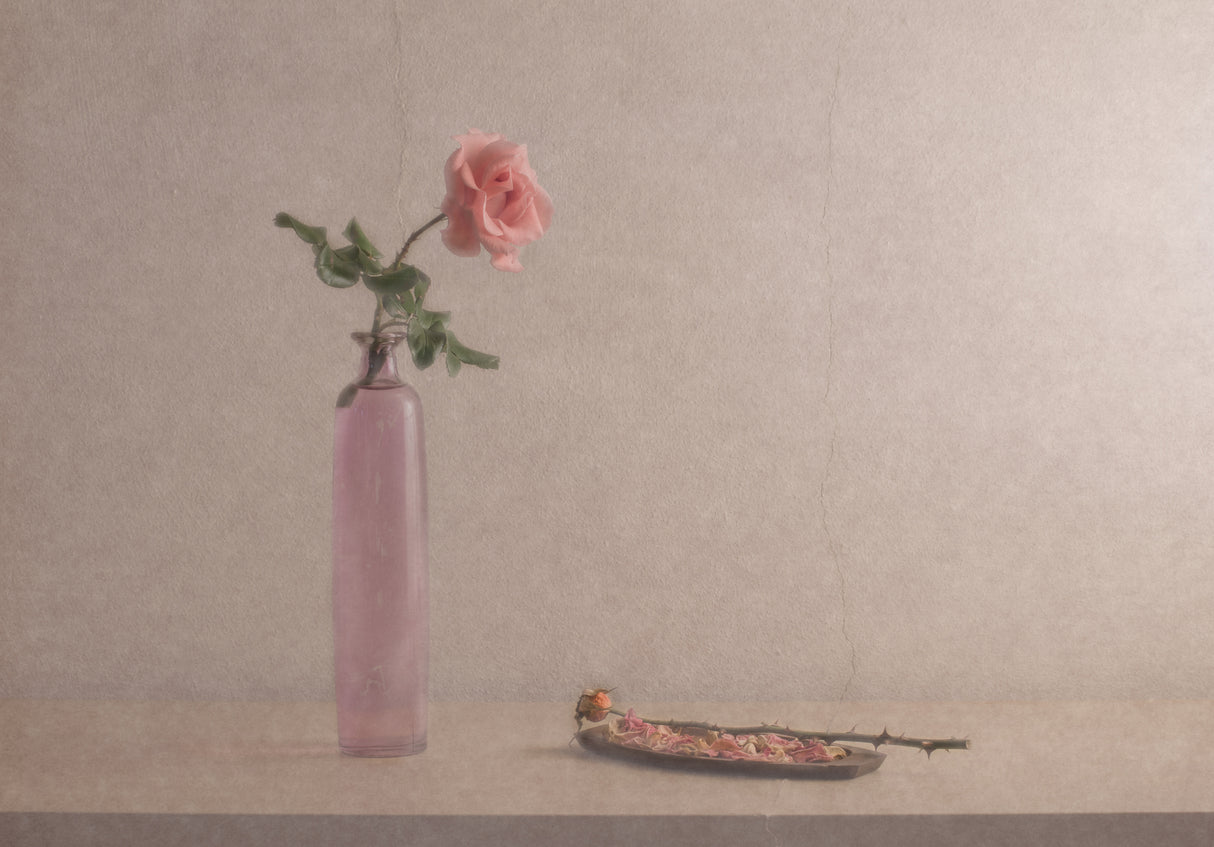 I 'll be always with you Poster och Canvastavla