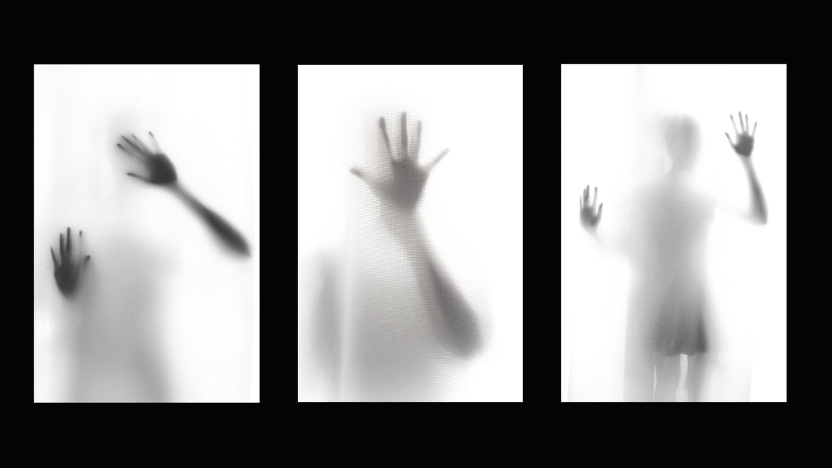 HANDS Poster och Canvastavla