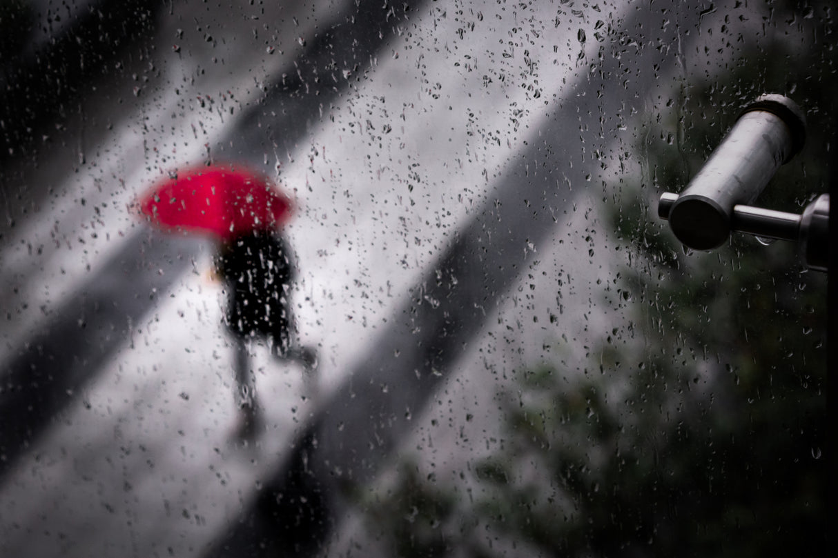 Rain Poster och Canvastavla
