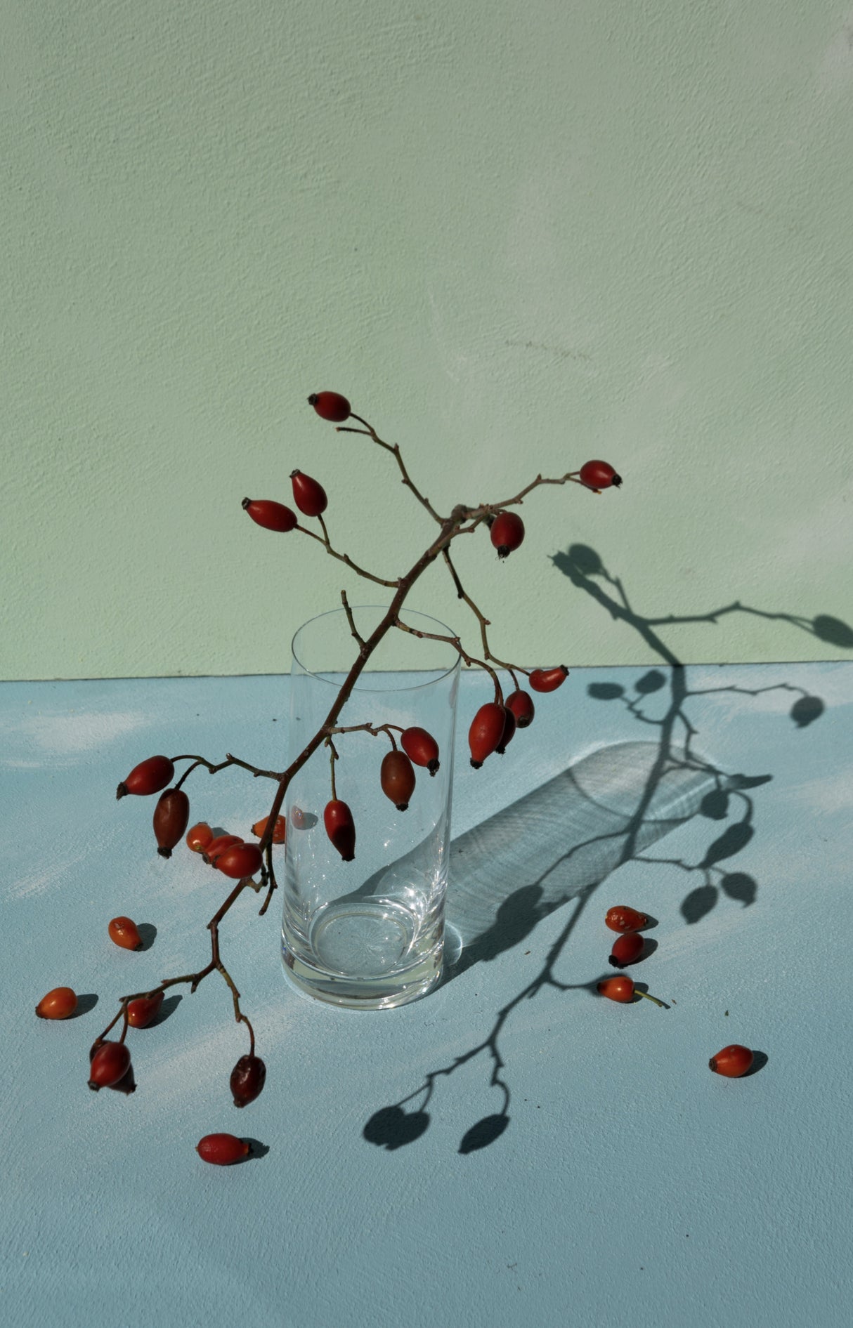 Berries Poster och Canvastavla