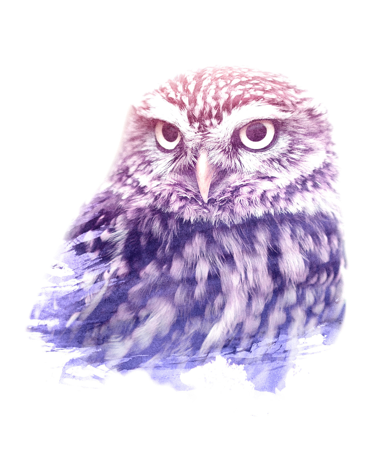 0013 Animal Watercolor Poster och Canvastavla