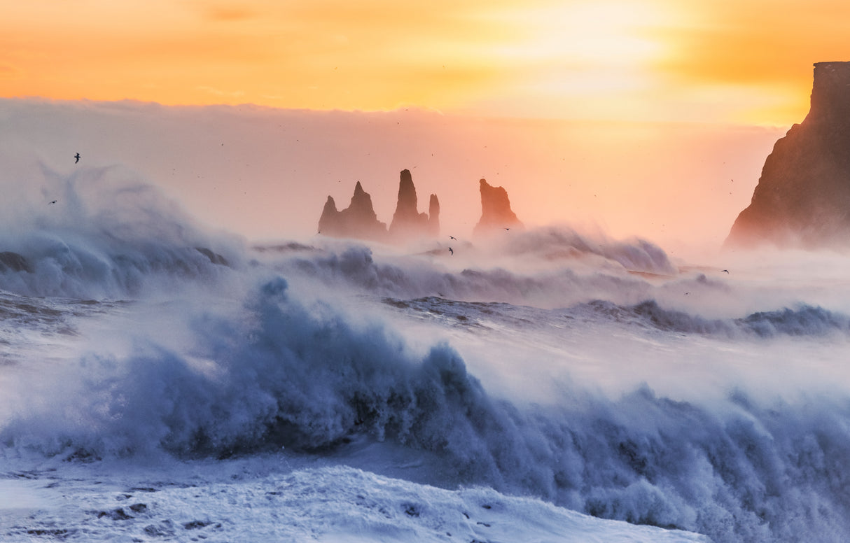 Ocean sunset Poster och Canvastavla