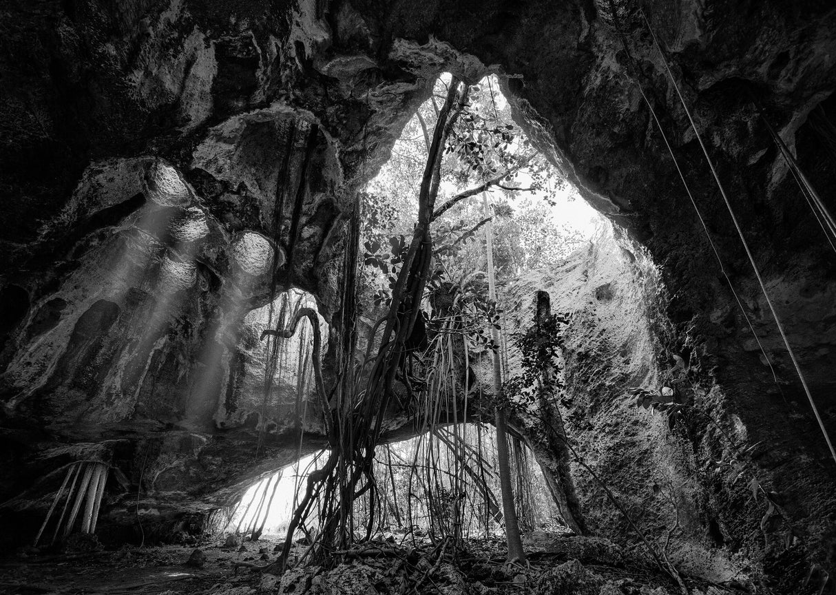 Middle Caicos Cave in BW Poster och Canvastavla