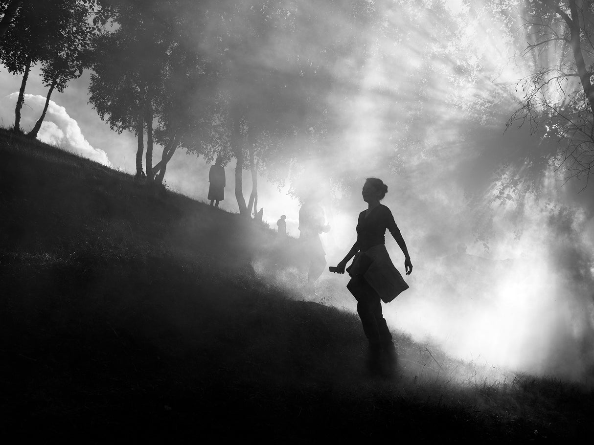 Dense fog Poster och Canvastavla