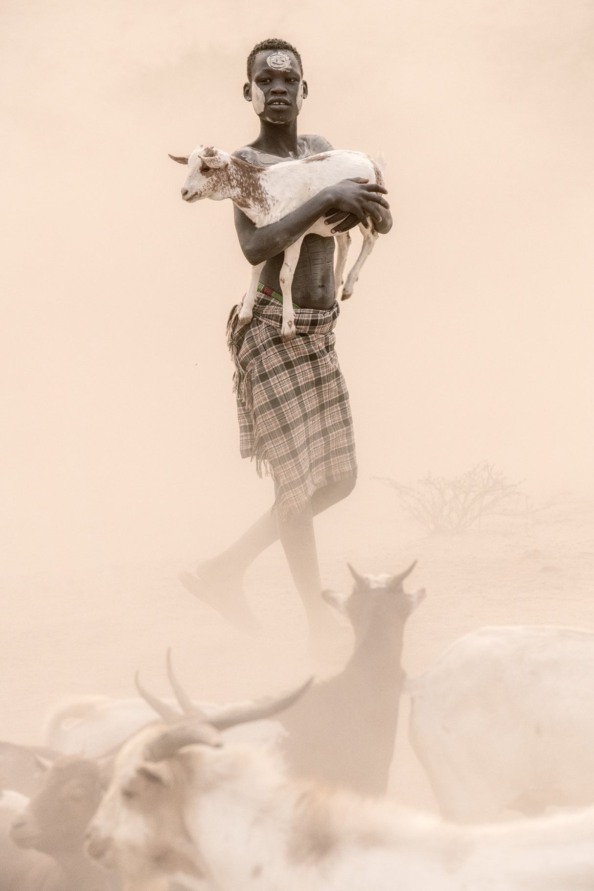 Kara goat herder Poster och Canvastavla