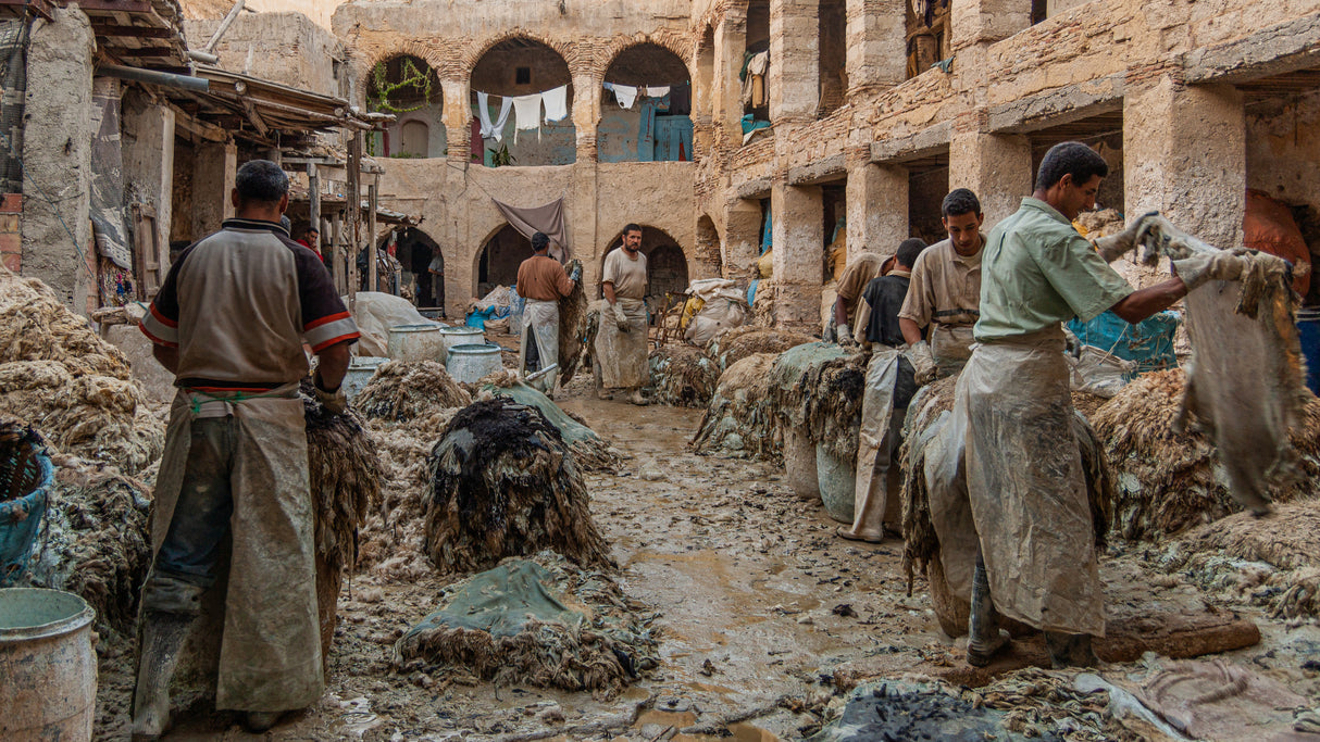Tanneries of Fez, Morocco Poster och Canvastavla