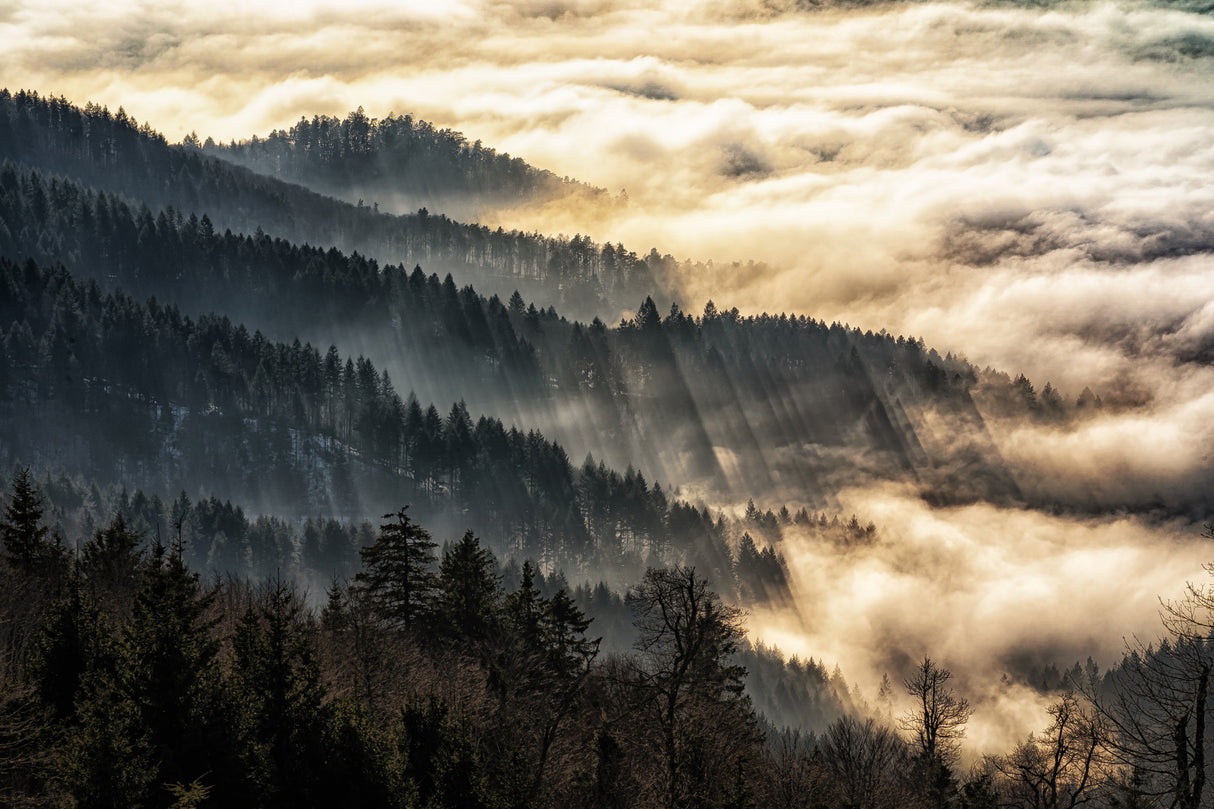 Sunset above the clouds Poster och Canvastavla