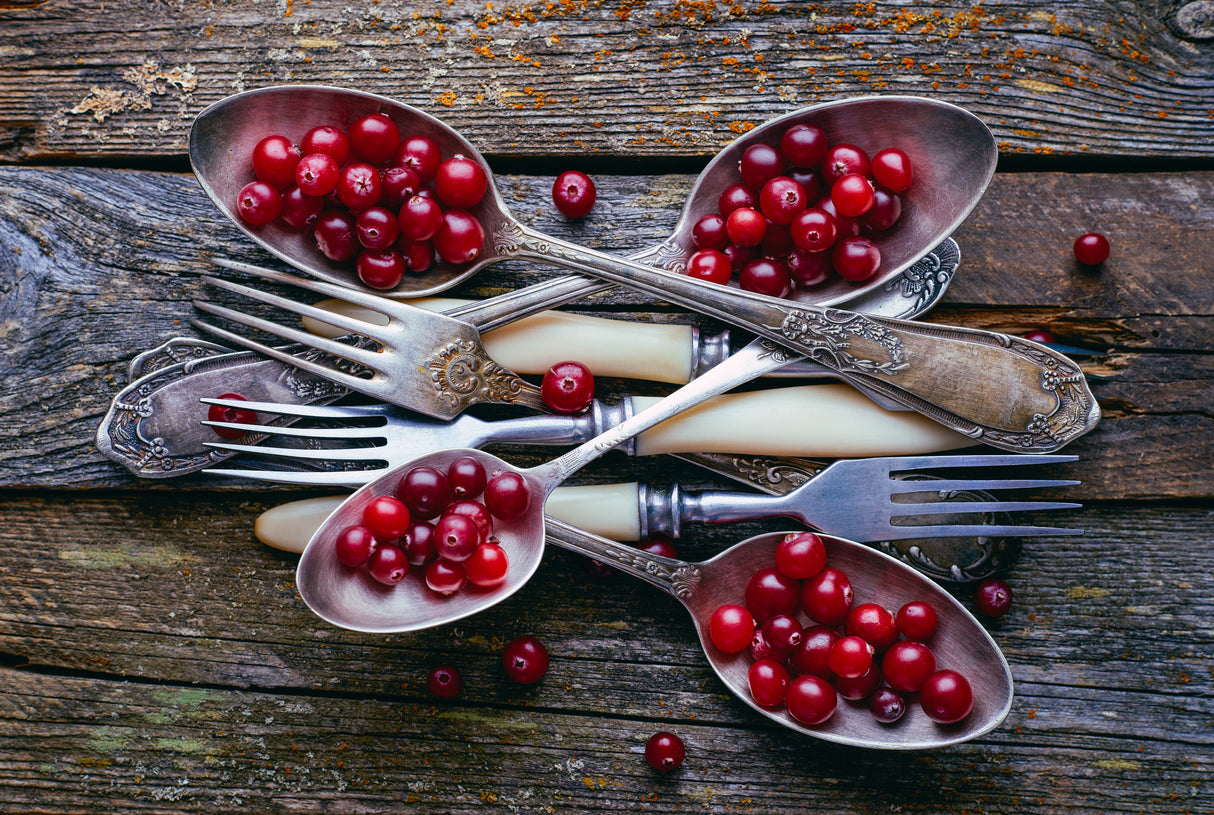Spoons&Cranberry Poster och Canvastavla