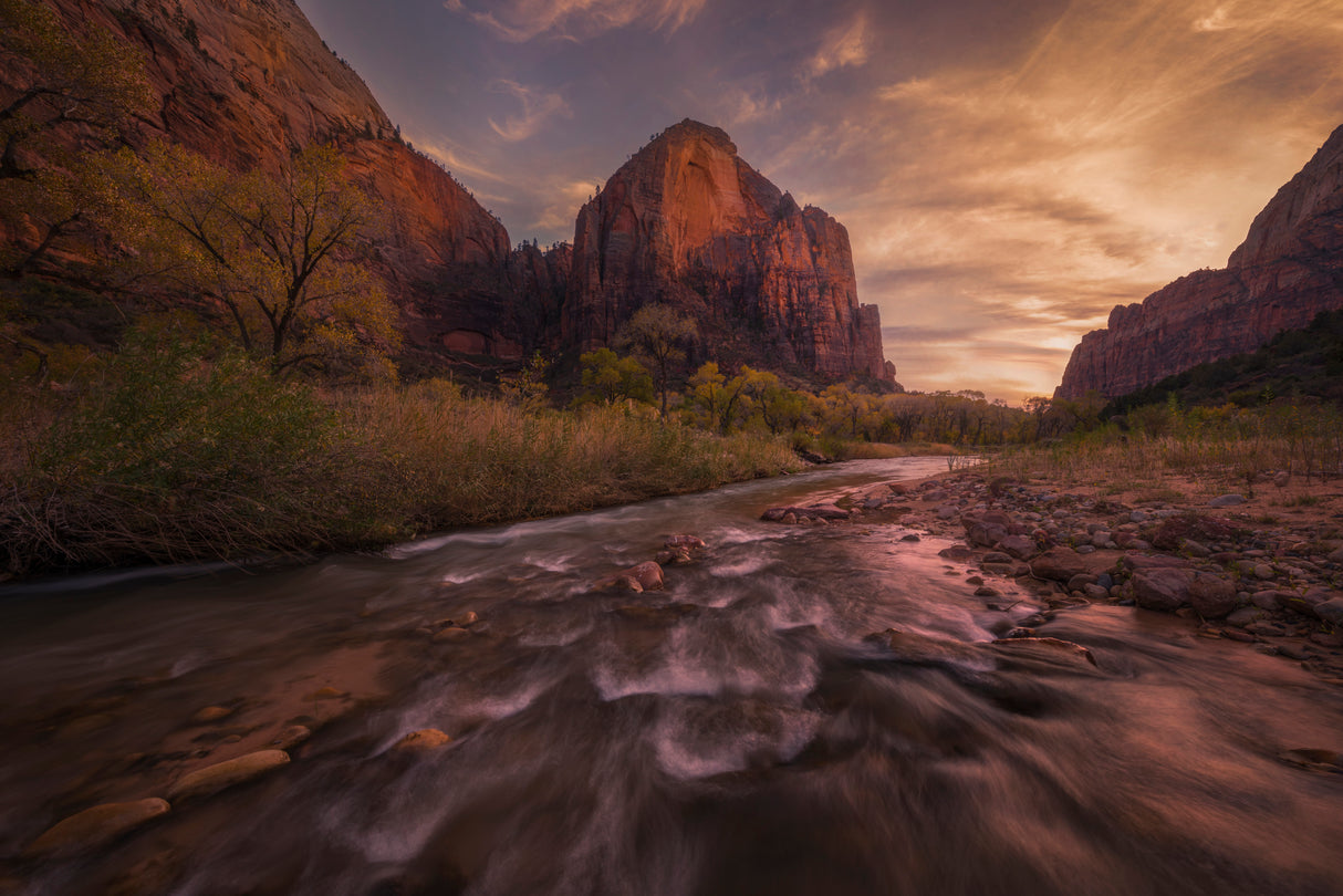 Zion Sunset Poster och Canvastavla